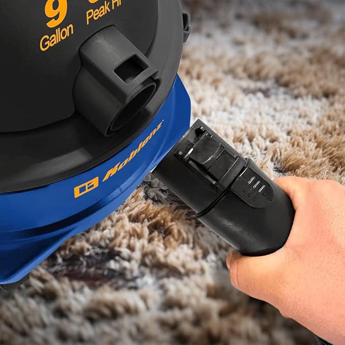 Carpet Cleaner vs Upholstery Cleaner: What's the Difference?