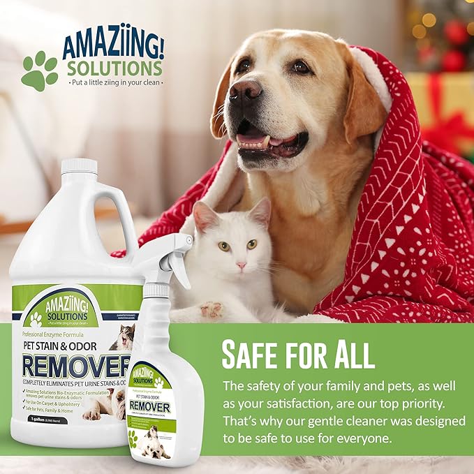 Best Cleaners for Pet Accidents