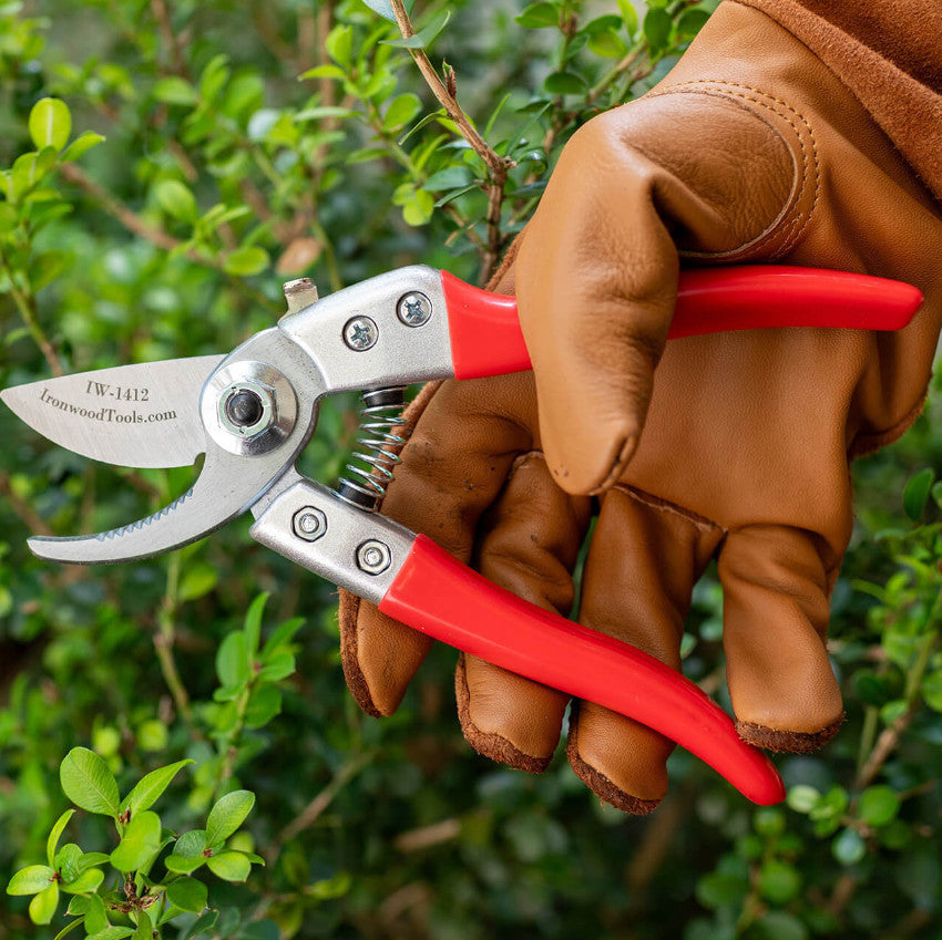Cutting & Pruning Tools