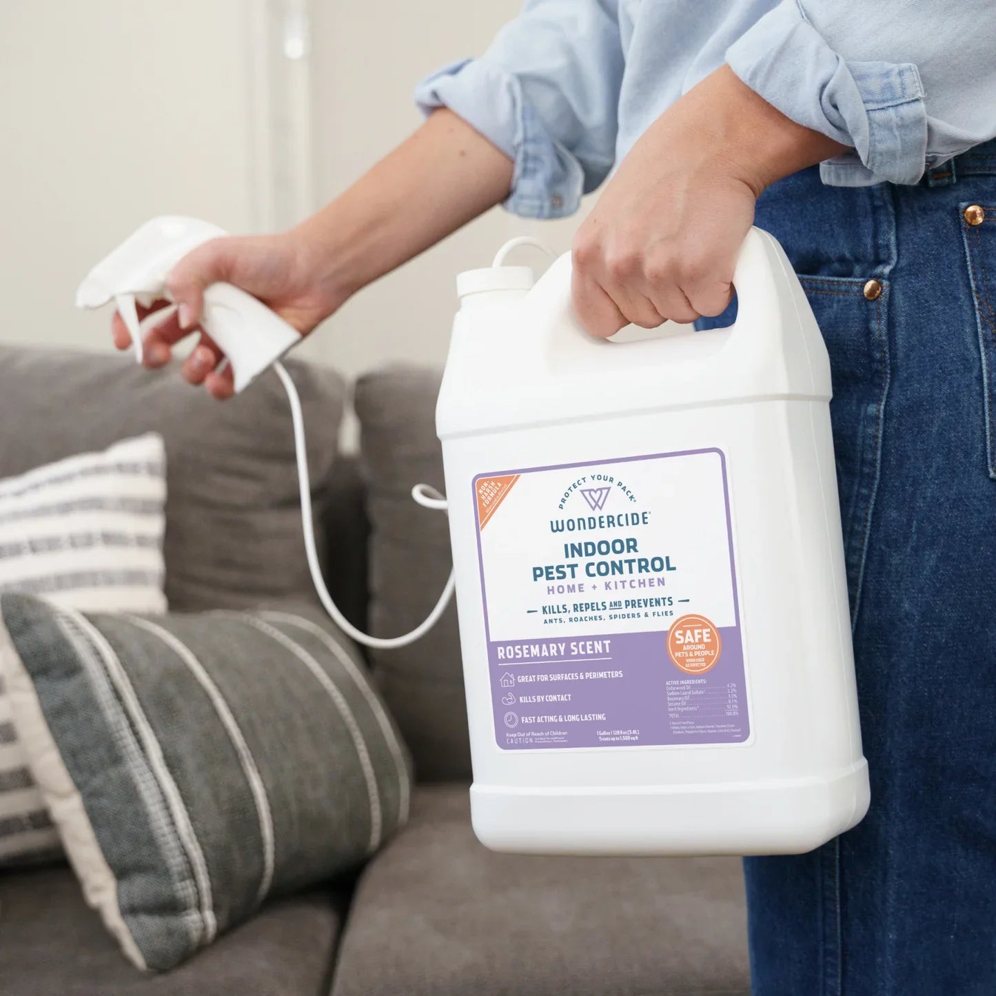 Indoor Insect & Pest Control