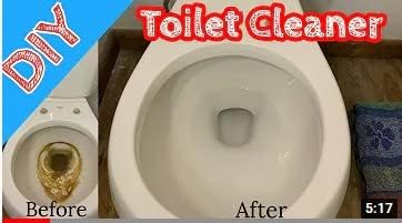 Santeen Toilet Bowl Cleaner | 6-pack of 1-quart bottles | Removes Rust, Lime, and Scale buildup