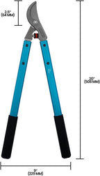 Zenport MV20 Professional Tree Lopper, Vine and Light Tree, 2-Inch Cut, Forged Head, 20-Inch Long