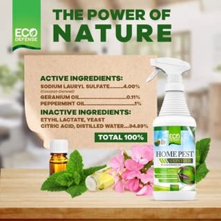 Eco Defense Biobased Pest Control Spray - Ant, Roach, Spider, Bug Killer and Repellent - Natural Indoor & Outdoor Bug Spray - Child & Pet Friendly (1 Gallon)