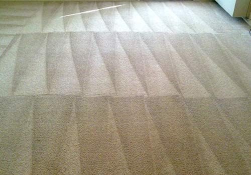 Capture Carpet & Rug Dry Cleaner (1lb) & Pre-Mist Soil Release for Carpet Dry Cleaner, Carpet Cleaning Pre Spray (2 Pack) - Bundle