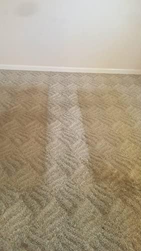 Carpet Fiber Rinse 5600 - Water-Based Cleaning Solution - Prevents Browning, Yellowing & Bleeding - Residential & Commercial - 1Gal