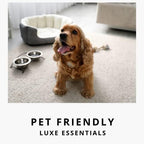 "Hotel" Carpet Powder For Vacuuming Bundle - 4-Pack - Noir Luxe, Lavender Dreams, Pink Cashmere, White Tea & Fig - For Home, Vaccuuming Upholstery, Pet Urine, Dog Bed/Cat Litter Box