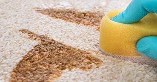 Capture Carpet Total Care Kit 100 Spot and Stain Remover (32 oz), Couch, Sofa Cleaner and Stain Remover Bundle