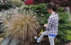 Spear Head Spade SHFD3 40" Teal Garden Spade Shovel - Gardening Shovel with a 9" x 11" Beveled Blade, Steel-Reinforced Fiberglass Long Handle & Cushioned D-Grip - Digging Spade for Planting