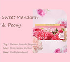 Scented Dryer Sheets for Laundry, 40 Count, Long-lasting Freshness, Styler Compatible (Aura, Sweet Mandarin & Peony)