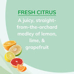 Citrus Magic Odor Absorbing Solid Air Freshener, Fresh Citrus, 8-Ounce, Pack of 3
