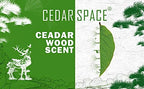 Cedar Blocks for Clothes Storage, Cedar Wood Chips and Balls for Drawer 80PCS, Closet and Kitchen Freshener, 100% Natural Cedar Blocks