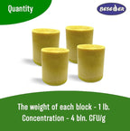 Grease Trap Cleaner (4 blocks x 1 pound = 4 pounds)