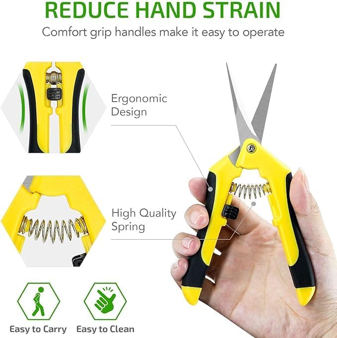 iPower 6.5 Inch Garden Hand Pruner Shears with Straight Stainless Steel Scissors, for Hydroponic Trimming Herb/Flowers/Vegetables/Plants, Yellow, 3-Pack