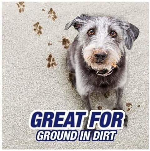 R'esolves Pet Expert High Traffic Carpet Cleaner Foam, and Dirt Removal, 1 Pack 22oz, 3X Pet Hair