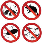 Peppermint Oil Repellent | Fast Acting Pest Control Spray | Repels Mice, Racoons, Ants, and More