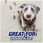 R'esolves Pet Expert High Traffic Carpet Cleaner Foam, 3X Pet Hair and Dirt Removal, 22oz, 1 Count