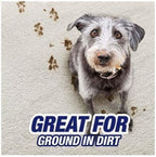 R'esolves Pet Expert High Traffic Carpet Cleaner Foam, 3X Pet Hair and Dirt Removal, 22oz, Pack of 1
