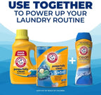 ARM & HAMMER Clean Burst, 110 Loads Liquid Laundry Detergent, 110 fl oz