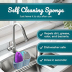 Food Grade Silicone Dish Scrubber - BPA-Free Kitchen Scrubbers for Dishes and Housecleaning (4-Pack Ovals)