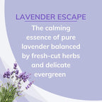 Citrus Magic Odor Absorbing Solid Air Freshener, Lavender Escape, 8-Ounce, Pack of 6
