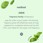Method Glass Cleaner + Surface Cleaner, Mint, 28 Ounce
