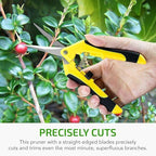 iPower 6.5 Inch Garden Hand Pruner Shears with Straight Stainless Steel Scissors, for Hydroponic Trimming Herb/Flowers/Vegetables/Plants, Yellow, 3-Pack