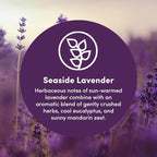 Clean Revolution Natural Fabric Softener Dryer Sheets, 80 Sheets, 160 Loads, Seaside Lavender, Naturally Derived, Sensitive Skin Safe, Made in the USA (Pack of 2)