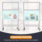 FDW 4-Tier Wire Shelving Unit Adjustable Garage Shelving 1400 lbs Weight Capacity Storage Shelves with Wheels for Home Kitchen Garage Commercial, 14" Dx36 Wx62 H, Chrome