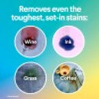 Clorox 2 Laundry Stain Remover and Color Booster Pack, 40 Count