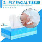 1InTheOffice Facial Tissue Paper, White Tissue, Flat Box with 100 Sheets, Soft 2-Ply, 6 Pack