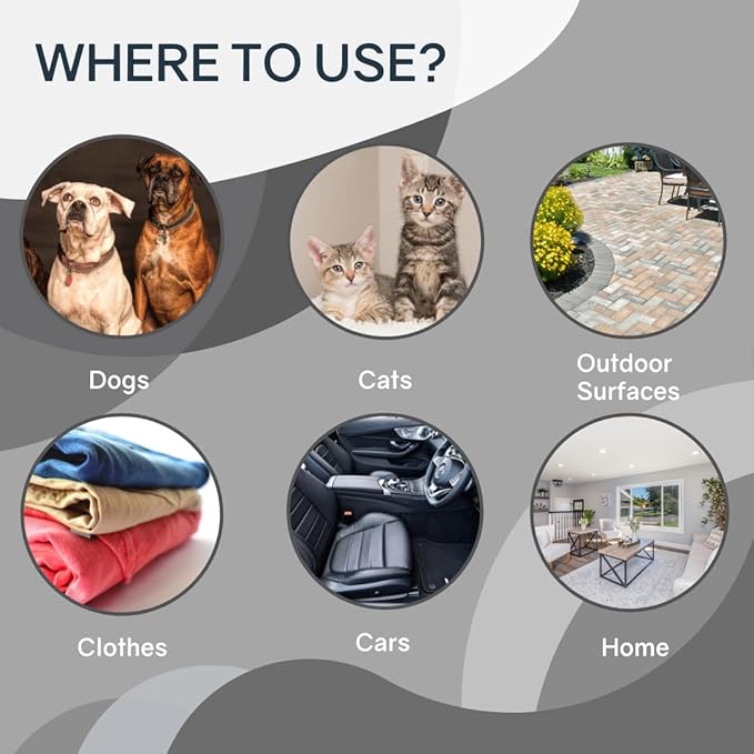 Odorcide Skunk Off Skunk Odor Eliminator Premise Spray – Ready-to-Use Skunk Odor Remover for House, Outdoors, Cars, Laundry, & More – Skunk Spray w/Safe, Non-Enzymatic Formula (1 Gallon)