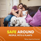 Rodent Repellent Pouches, Mouse Repellent, Mice Repellent Indoor, Natural Peppermint Mouse Repellent, Get Rid of Rodent/Rat & Mice, Safe for Children and Pets - 10P