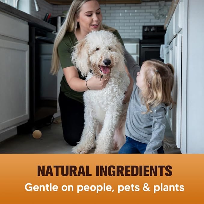 Rodent Repellent Indoor, Peppermint Oil Mouse Repellent, Mice Repellent Balls for Indoor Outdoor, Rodents Repellent for House, Rat Deterrent Outdoor, Moth Balls for Indoor/Outdoor Use - 10 Pack