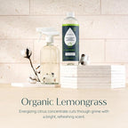 Puracy Multi-Surface Cleaner Concentrate - Plant-Powered All Purpose Cleaner - Surface Cleaner Solution As Seen on TikTok (Organic Lemongrass, 16 fl oz, 1 Pack)
