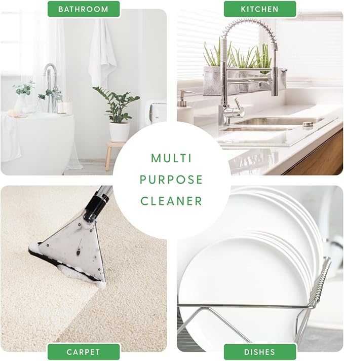 Milliard Borax Powder Laundry Booster, Pure Natural Multipurpose Cleaner and Detergent, 1 lb - Unscented