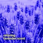 Dryer Sheets: Spring Lavender Scented Laundry Fabric Softener Sheets - Reduces Wrinkles - Controls Static - Softens Fabric (480 Count)