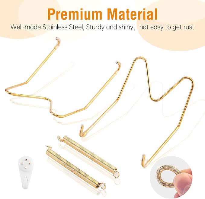 Bilillo 12 pcs Plate Hangers for The Wall, 6/8/10 Inch Invisible Decorative Wall Plate Hangers, Stainless Steel Plates Walls Hanger for Display Various Sizes with Hooks for Decorative