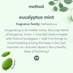 Method Daily Shower Cleaner Refill, Eucalyptus Mint, For Showers, Tile, Fixtures, Glass and Tubs, 68 Fl Oz (Pack of 2)