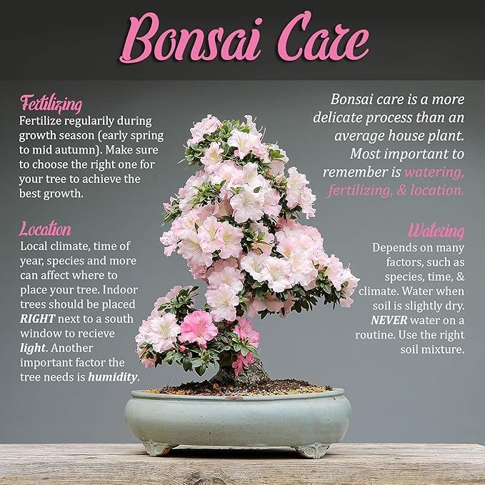 BambooMN Bonsai 3 Piece Set, Trunk Splitter, Jin Pliers, and Root Cutter, Bonsai Trimming, Beginner Friendly - 1 Set