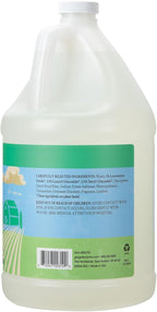 Ginger Lily Farms Botanicals Plant-Based Foaming Spray Dish Soap, Concentrated Formula with Max Grease Cleaning Power, Cruelty-Free, Basil Scent, 1 Gallon (Pack of 4)