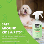 Better Life All Purpose Cleaner - Multipurpose Home and Kitchen Cleaning Spray for Glass, Countertops, Appliances, Upholstery & More - Multi-surface Spray Cleaner - 24oz (Pack of 2) Clary Sage/Citrus