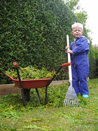 DeWit Junior Kid's Leaf Rake