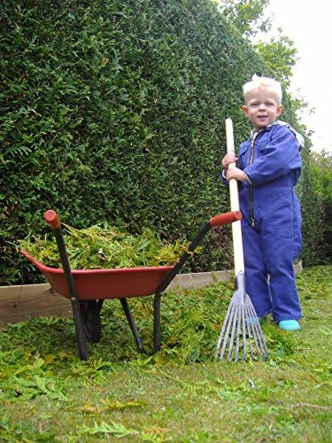 DeWit Junior Kid's Leaf Rake