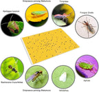 Gideal 30-Pack Dual-Sided Yellow Sticky Traps for Indoor Outdoor Flying Plant Insect Fungus Gnats, Whiteflies, Aphids, Leafminers,Thrips (6x8 Inches, Included 30pcs Twist Ties)