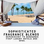 "Hotel" Carpet Powder For Vacuuming Bundle - 4-Pack - Noir Luxe, Lavender Dreams, Pink Cashmere, White Tea & Fig - For Home, Vaccuuming Upholstery, Pet Urine, Dog Bed/Cat Litter Box