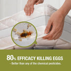 Bed Bug Killer Spray 16 Oz, Green + Non-toxic, 100% Kill + Extended Protection