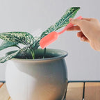 60Pcs Plastic Garden Shovel Soil Scoop: Mini Gardening Shovels Hand Trowel Rake Planting Digger Spade for Kids Outdoor Indoor Yard Digging Transplanting, Random Color