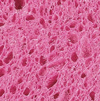 Non-Scratch Cellulose Sponge Kitchen Scrub Sponge with Scouring Pad Set, Good for Non-Stick Cookware Frying Pan, Pot, Counter Top, Sink Scrubbing, Kitchen Scrubbers, Pack of 1, Red/Pink