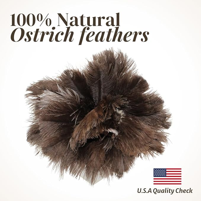 Feather Duster with Ostrich Feathers Wooden Handle 14" – Natural Reusable Duster for Cleaning, Furniture & Shelves, Blinds, Ceiling Fan, Dusting Tool for Home, Office, Delicate Surfaces - 2 Pack