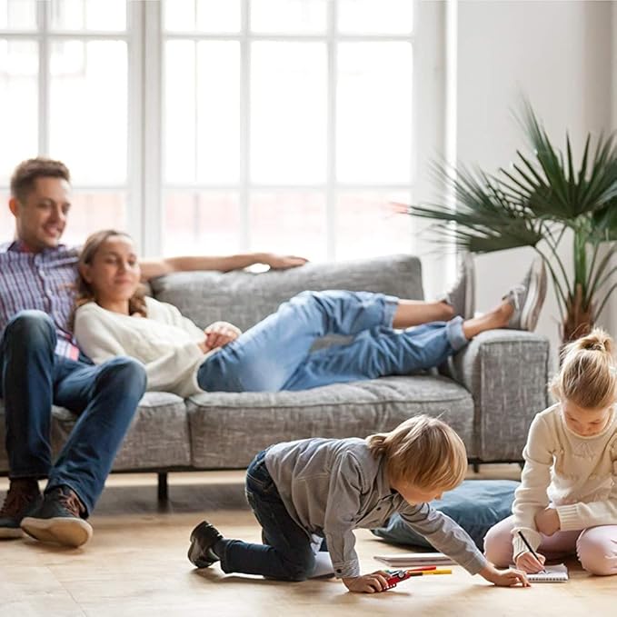 Misty Air Freshening Deodorizing Spray - Alpine Mist - 10 oz (Case of 12) 1039394 - Premium Odor Neutralizer for Smoke, Organic Decay, and Other Unwanted Odors